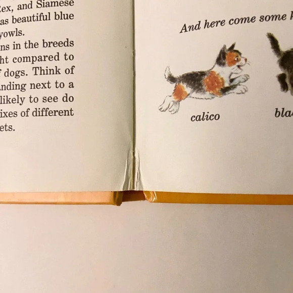 Vintage 1981 Classic Golden Book Joe Kaufmans Wings Paws Hoofs and Flippers - Picture 15 of 16